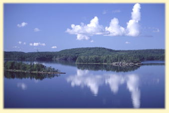 Kaksi joutsenta